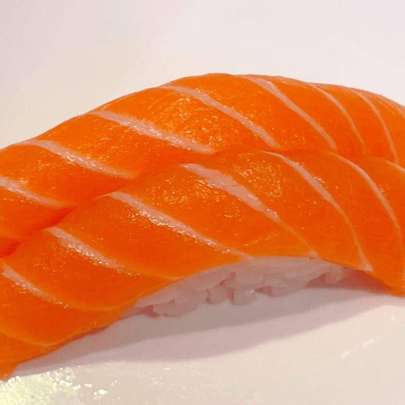 Salmon