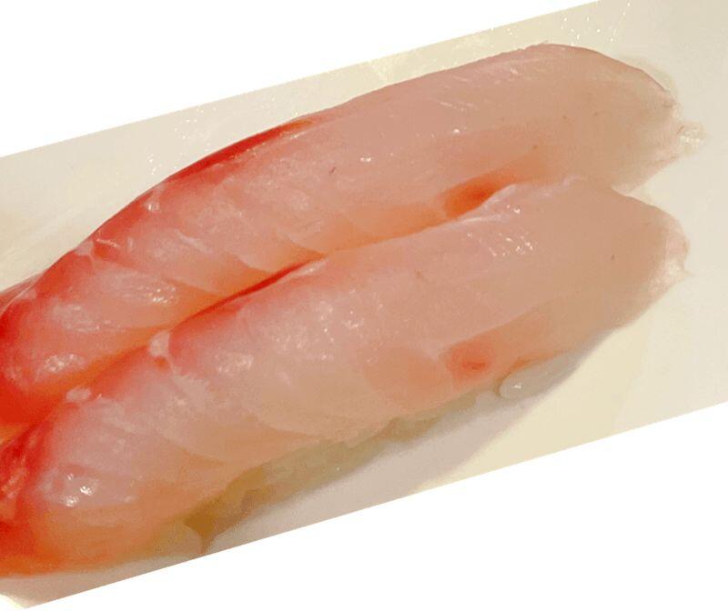 Striped Bass