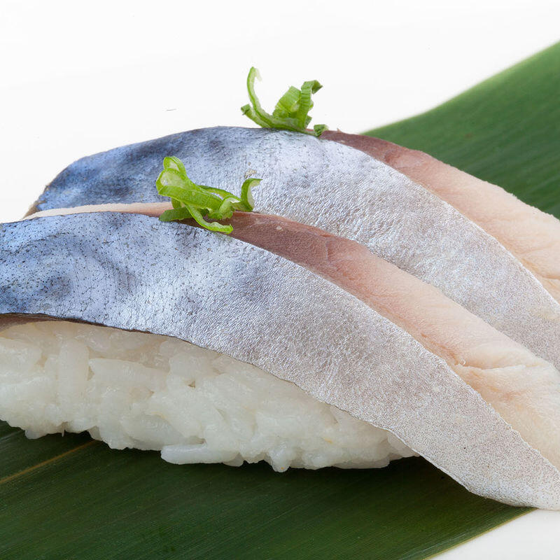 Mackerel